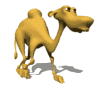 jerry_camel_walking_md_wht